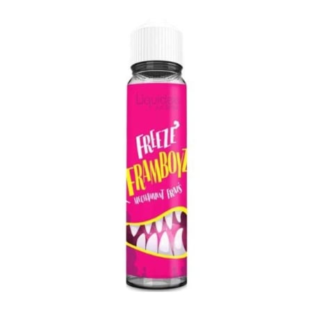 Liquideo Freeze Framboyz Freeze 50 ml - Liquideo pas cher