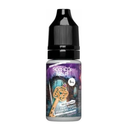 e-liquide Purple Key Salt 10 ml - Secret's Keys pas cher